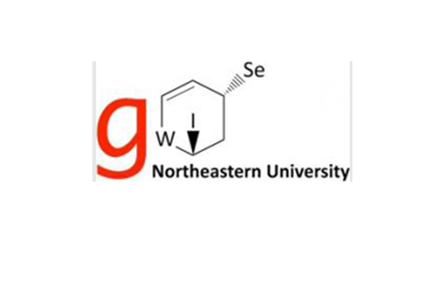 Club - Graduate Women in Science and Engineering image number null